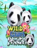 slotxo ไม่ โกงโจ๊ก เกอร์ 8899 z วิธีเพิ่มโอกาสชนะ